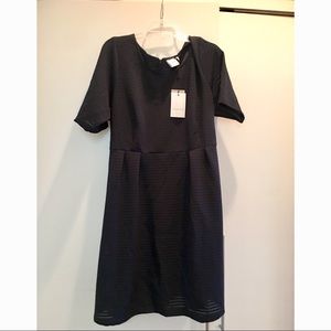 NWT Navy Junarose Above Knee Dress